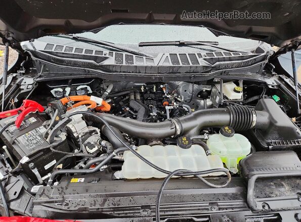 1FTFW5LD3SFB31668 2025 FORD F150 Угольный Вид задней части салона