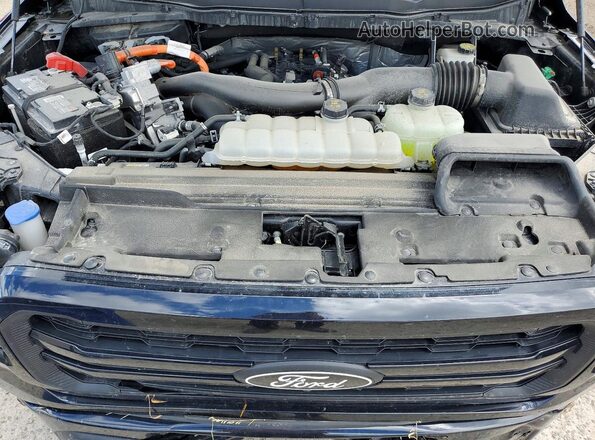 1FTFW5LD6RFB15670 2024 FORD F150 Black Սալոնի հետևի տեսք