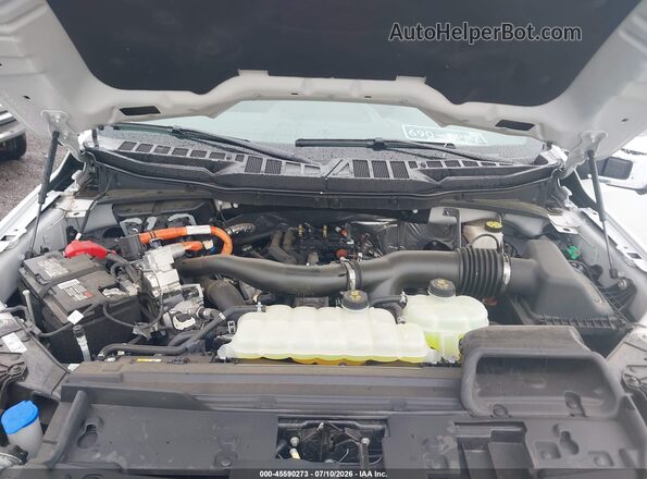 1FTFW5LD6RFC07197 2024 FORD F150 White Вид ззаду