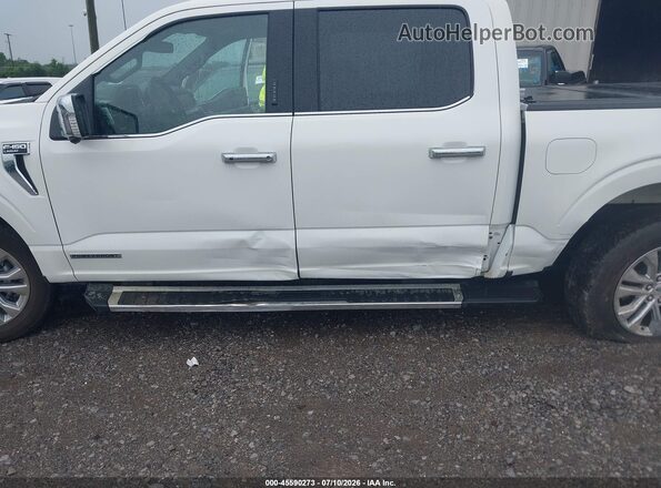1FTFW5LD6RFC07197 2024 FORD F150 White Вид спереду