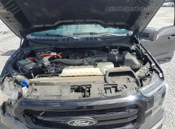 1FTFW5LD6SFA22153 2025 FORD F150 Charcoal Вид задньої частини салону