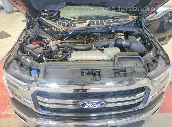 1FTFW5LD6SFA53998 2025 FORD F150 Black Widok wnętrza z tyłu