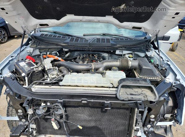 1FTFW5LD8SFA15270 2025 FORD F150 White Вид задньої частини салону