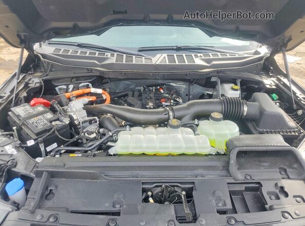 1FTFW5LD8SFC38893 2025 FORD F150 Blue Vista interior trasera