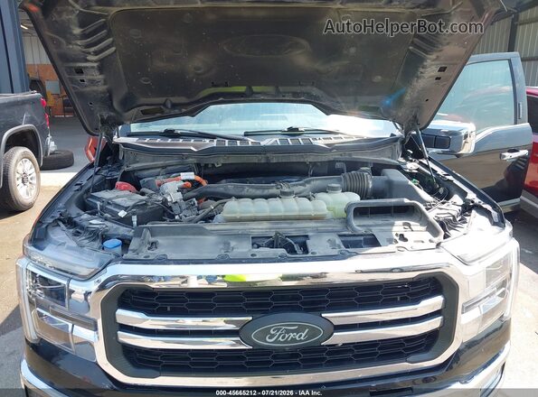 1FTFW5LD9RFA24408 2024 FORD F150 Black Vista trasera