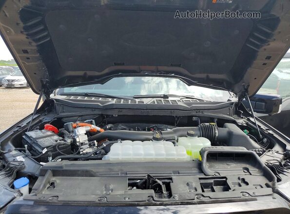 1FTFW5LD9SFB86416 2025 FORD F150 Black Вид задньої частини салону