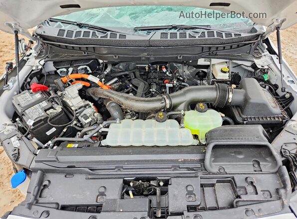 1FTFW6LD2SFB74873 2025 FORD F150 White Սալոնի հետևի տեսք