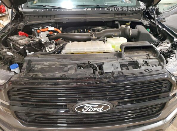 1FTFW7LD1RFB75013 2024 FORD F150 Серый Вид задней части салона