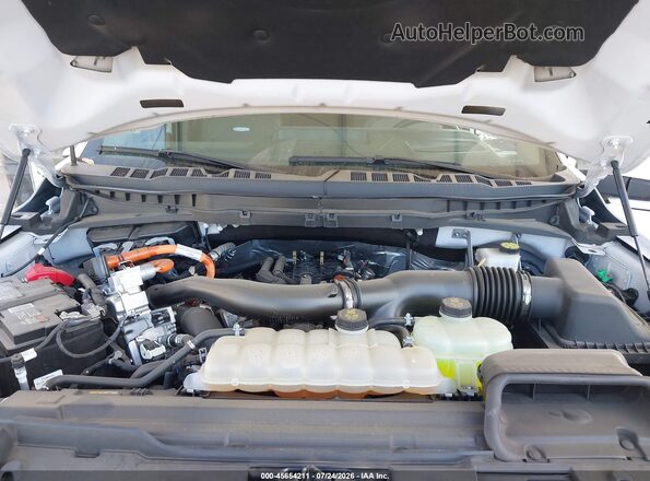 1FTFW7LD1RFB77795 2024 FORD F150 White უკანა ხედი