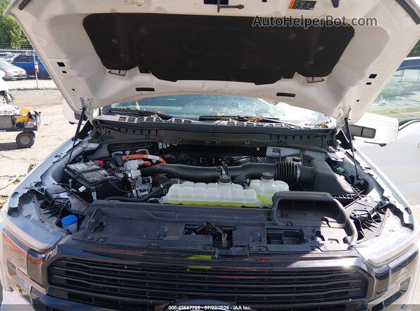 1FTFW7LD7SFA93647 2025 FORD F150 White Widok z tyłu