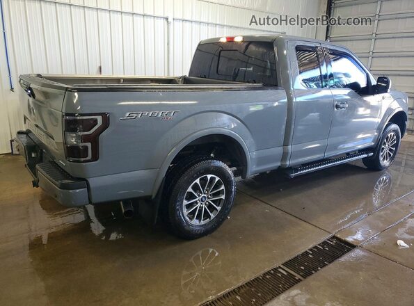1FTFX1E49KKC66096 2019 FORD F150 Gray Задня права чверть