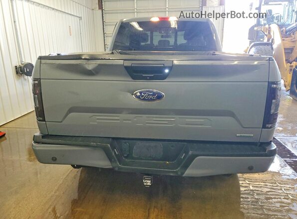 1FTFX1E49KKC66096 2019 FORD F150 Gray Вид ззаду