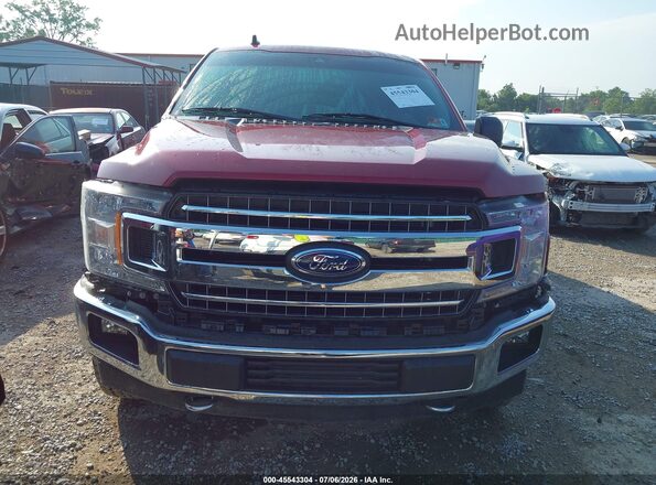 1FTFX1E51KFA11914 2019 FORD F150 Burgundy Vista interior trasera