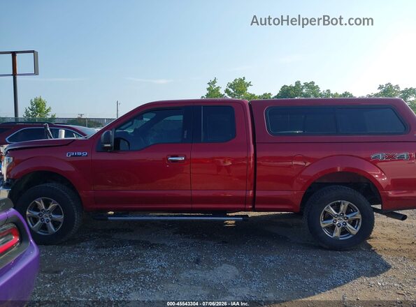 1FTFX1E51KFA11914 2019 FORD F150 Burgundy 