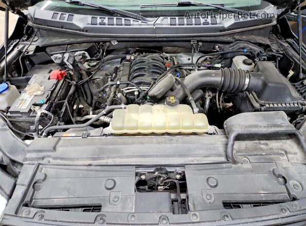 1FTFX1E52LFA85523 2020 FORD F150 Gray Vista interior trasera