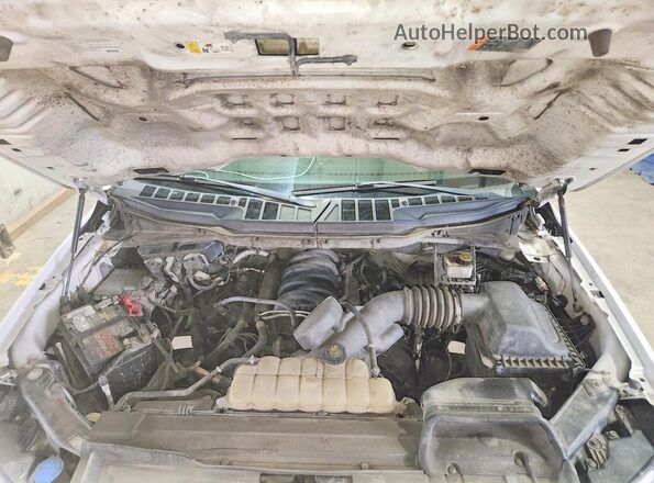 1FTFX1E52MKF14166 2021 FORD F150 Белый Вид задней части салона
