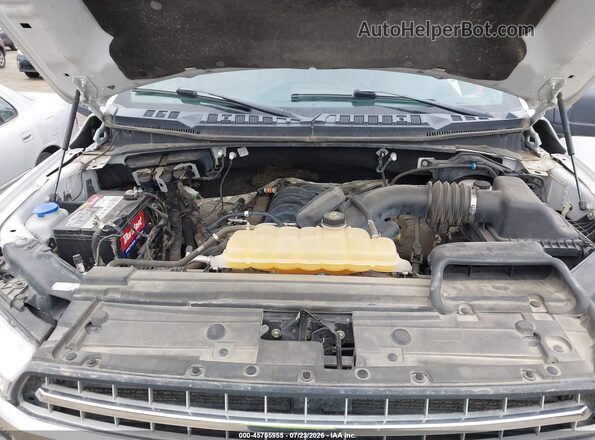 1FTFX1E53KKC23866 2019 FORD F150 White უკანა ხედი