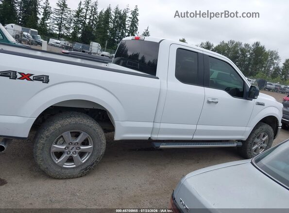 1FTFX1E53KKC23866 2019 FORD F150 White უკანა სალონის ხედი