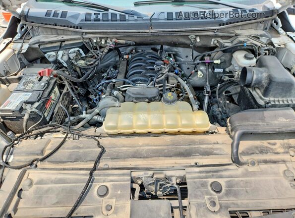 1FTFX1E53LKD60792 2020 FORD F150 Белый Вид задней части салона