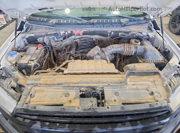 1FTFX1E56KKE41347 2019 FORD F150 White Вид задньої частини салону