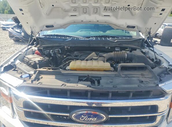 1FTFX1E58MKF02491 2021 FORD F150 Белый Вид задней части салона