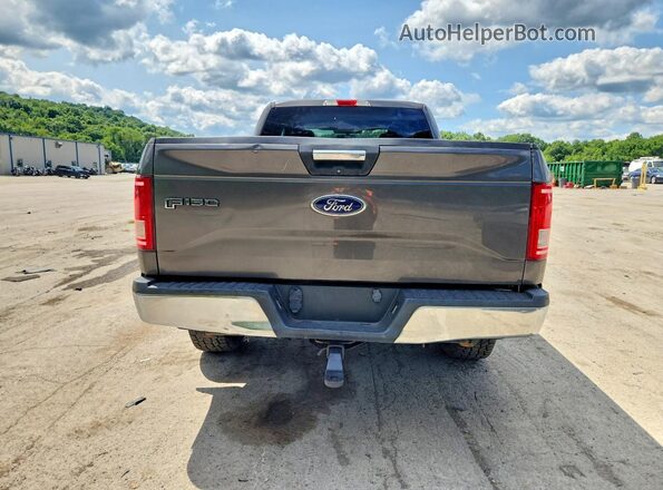 1FTFX1EF2HKE32341 2017 FORD F150 Gray Rear view