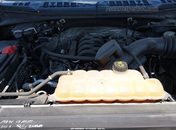 1FTFX1EF7HKE03255 2017 FORD F150 Темно-бордовый Вид сзади
