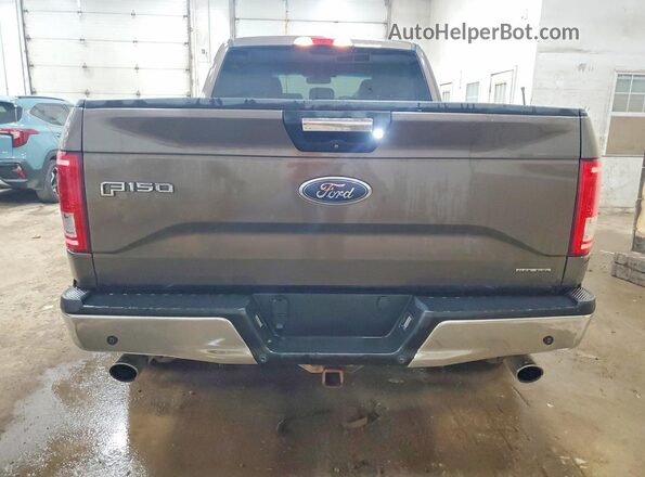 1FTFX1EF8GFA62696 2016 FORD F150 Brown უკანა ხედი