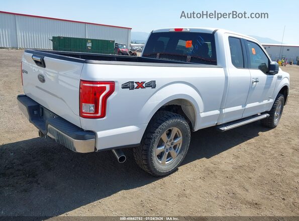 1FTFX1EG0HKD47619 2017 FORD F150 White Հետևի աջ