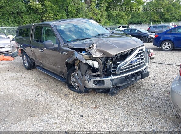 1FTFX1EG2HFC86282 2017 FORD F150 Dark Brown Вид спереду