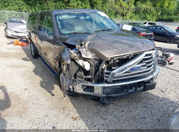 1FTFX1EG2HFC86282 2017 FORD F150 Dark Brown 