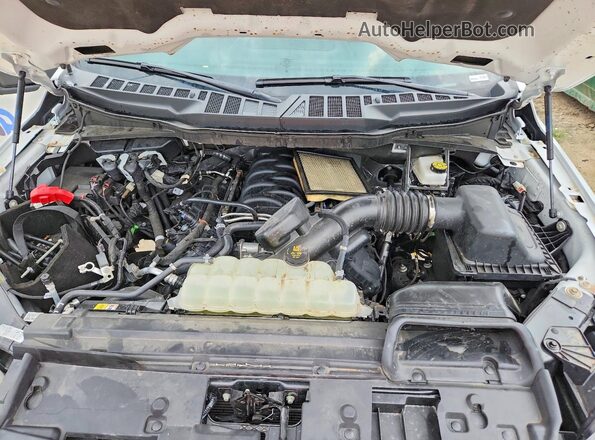 1FTFX3L55SKF57153 2025 FORD F150 White Вид задньої частини салону