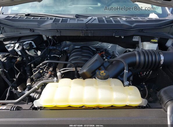 1FTMF1C5XMKF13392 2021 FORD F150 Silver Widok z tyłu