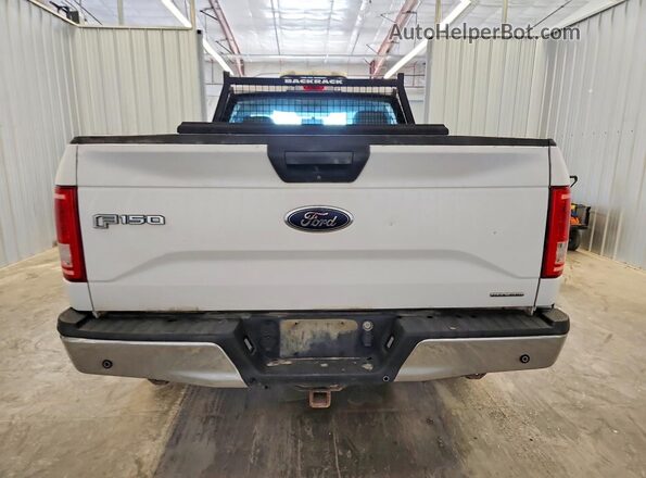 1FTMF1C85GKF57623 2016 FORD F150 White Հետևի տեսք