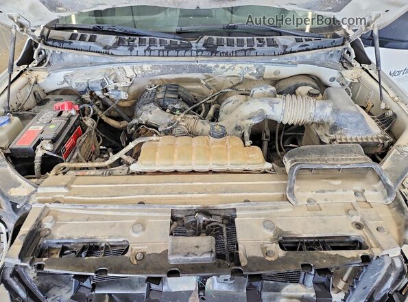 1FTMF1C85GKF57623 2016 FORD F150 White Սալոնի հետևի տեսք