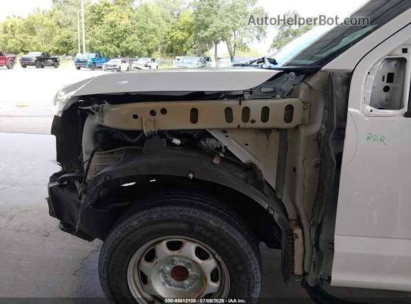 1FTMF1C85HKD29641 2017 FORD F150 Белый Вид спереди