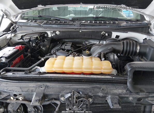 1FTMF1C85HKD29641 2017 FORD F150 Белый Вид сзади
