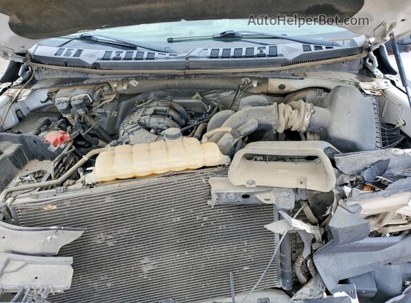 1FTMF1C85HKD44253 2017 FORD F150 White Widok wnętrza z tyłu