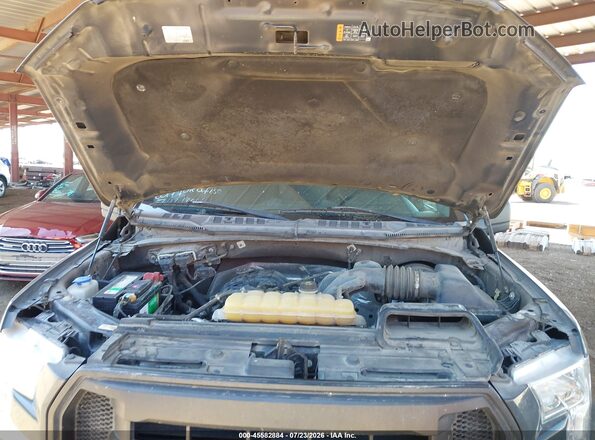 1FTMF1C86HKD19152 2017 FORD F150 Gray Вид ззаду
