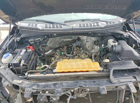 1FTMF1C87HKC17116 2017 FORD F150 Gray Rear interior view