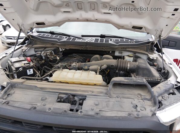 1FTMF1CB0MKE45352 2021 FORD F150 White Вид ззаду