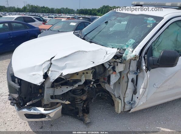 1FTMF1CB2KKD24092 2019 FORD F150 White Widok z przodu