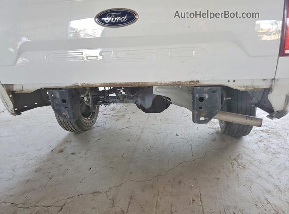 1FTMF1CB2KKE81055 2019 FORD F150 White Вид задніх сидінь