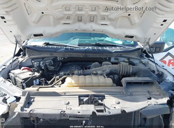 1FTMF1CB2MKD55068 2021 FORD F150 White Հետևի տեսք