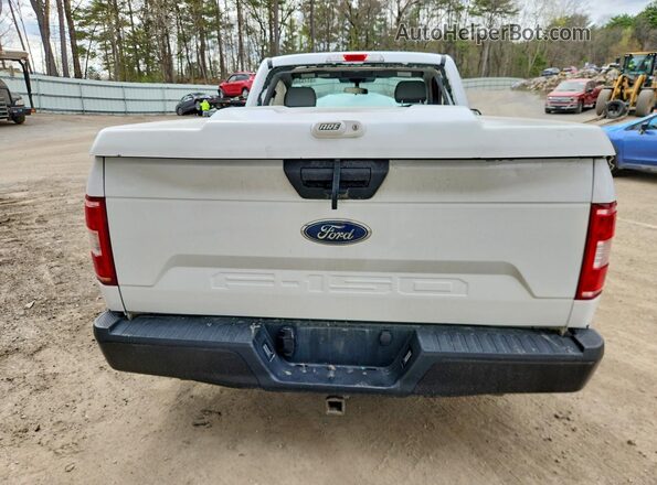 1FTMF1CB3KKE67892 2019 FORD F150 White უკანა ხედი