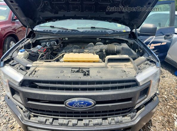 1FTMF1CB5LKD72333 2020 FORD F150 Blue უკანა სალონის ხედი