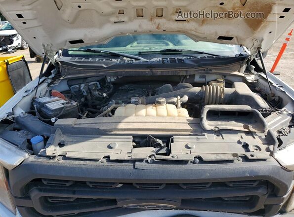 1FTMF1CB5PKE71904 2023 FORD F150 Белый Вид задней части салона