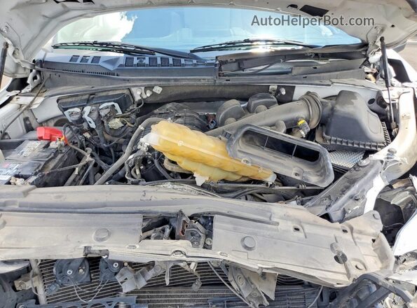 1FTMF1CB6LFC64022 2020 FORD F150 Белый Вид задней части салона