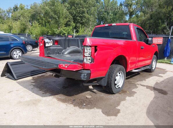 1FTMF1CB7KKE49041 2019 FORD F150 Red Trasero derecho