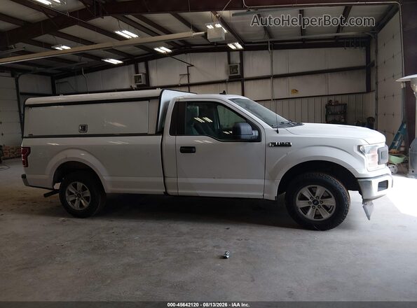 1FTMF1CB7LKF11474 2020 FORD F150 White Rear interior view